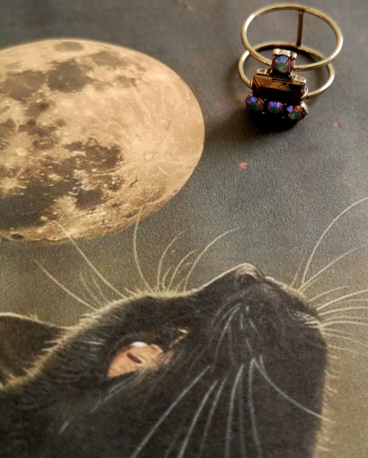 ANILLO