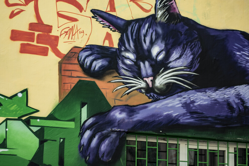 Sofia Graffiti and Street Art Tour | Price from