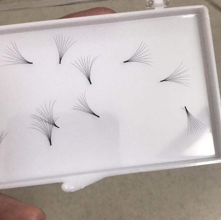 pre hand fans ( A Box of 500 Fans) 9D C curl 16mm 0.05