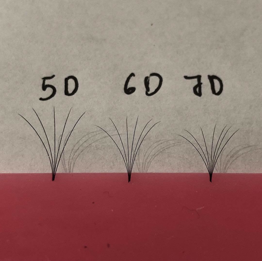 pre hand fans ( A Box of 500 Fans) 5D D curl 10mm 0.05