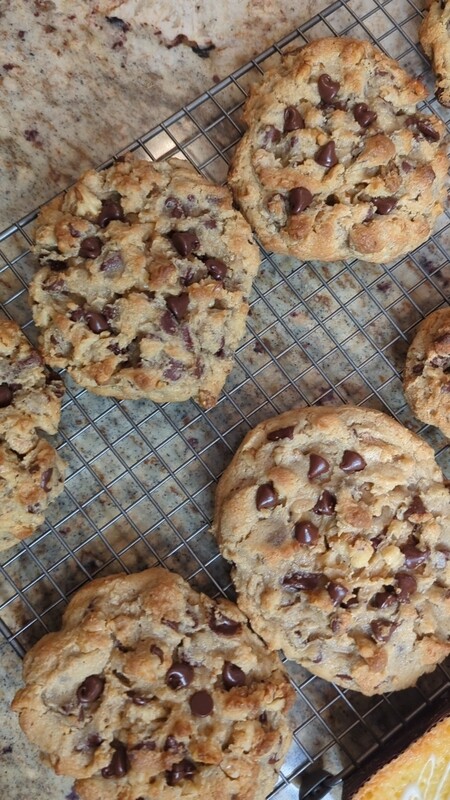 Chocolate Walnut Cookie