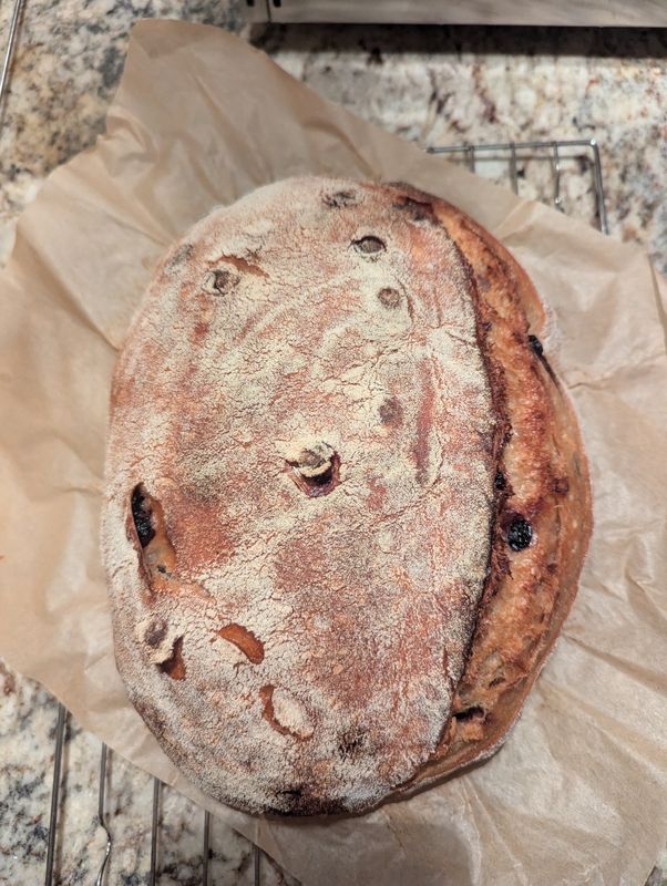 Blueberry Sourdough
