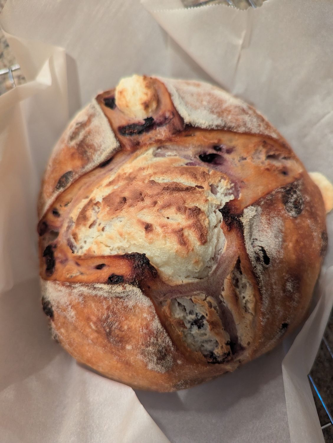 Lemon Blueberry Cheesecake Sourdough