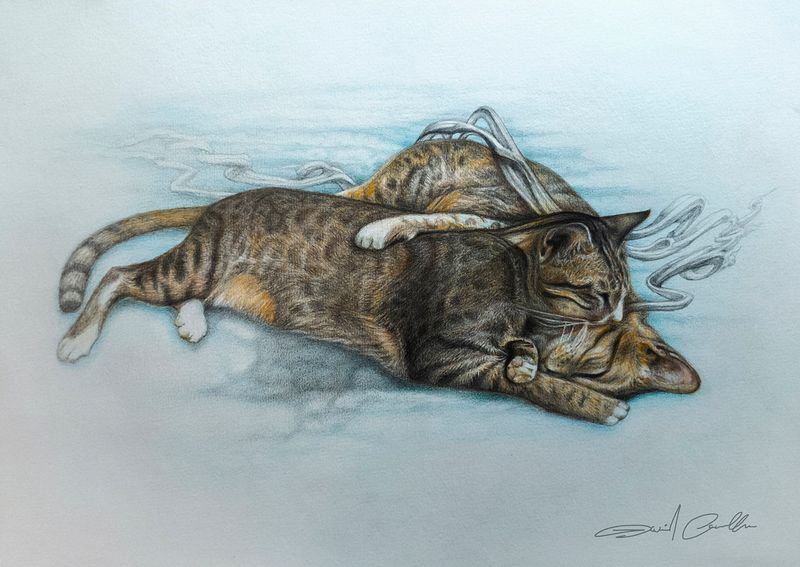 "LES BAISER DES CHATONS" - RANGING SIZES- PRINT ON ARCHIVAL PAPER, HANGING CANVAS OR METAL (Original-Graphite and Colored pencil on paper) by David Art Lawell