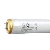 TRUE MATCH Bi-Pin KF32 Safety-Coated