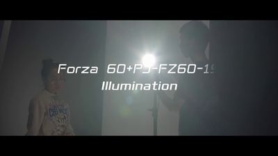 NANLITE JP-FZ60-19 FM mount