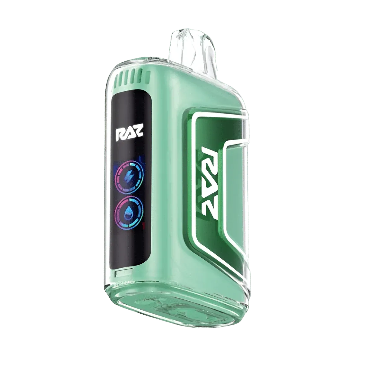 RAZ MIAMI MINT TN 9000 PUFFS