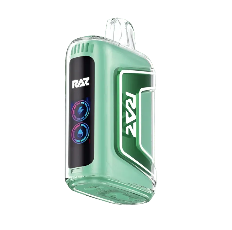RAZ MIAMI MINT TN 9000 PUFFS