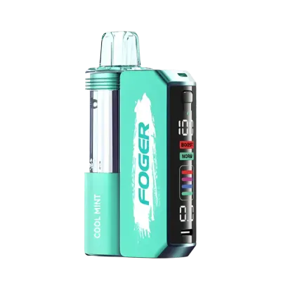 FOGER SWITCH PRO COOL MINT 30000 PUFFS