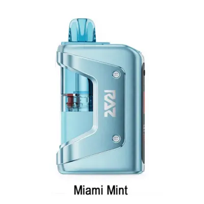RAZ VEU MIAMI MINT 50000 PUFFS