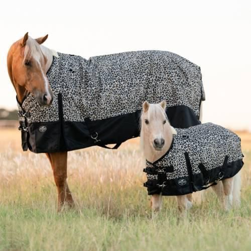 PC 600D Turnout Blankets Cheetah, Size: 36&quot;, Breed: Mini