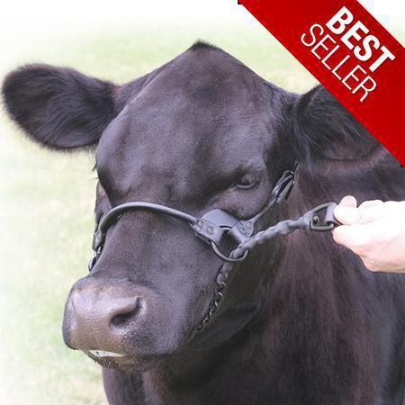 1ST CLASS SHOW HALTER