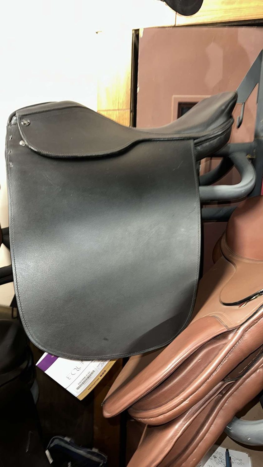 EquiRoyal Liberty Lane Fox Smooth Seat Show Saddle, Size: 17&quot; Seat, Color: Black
