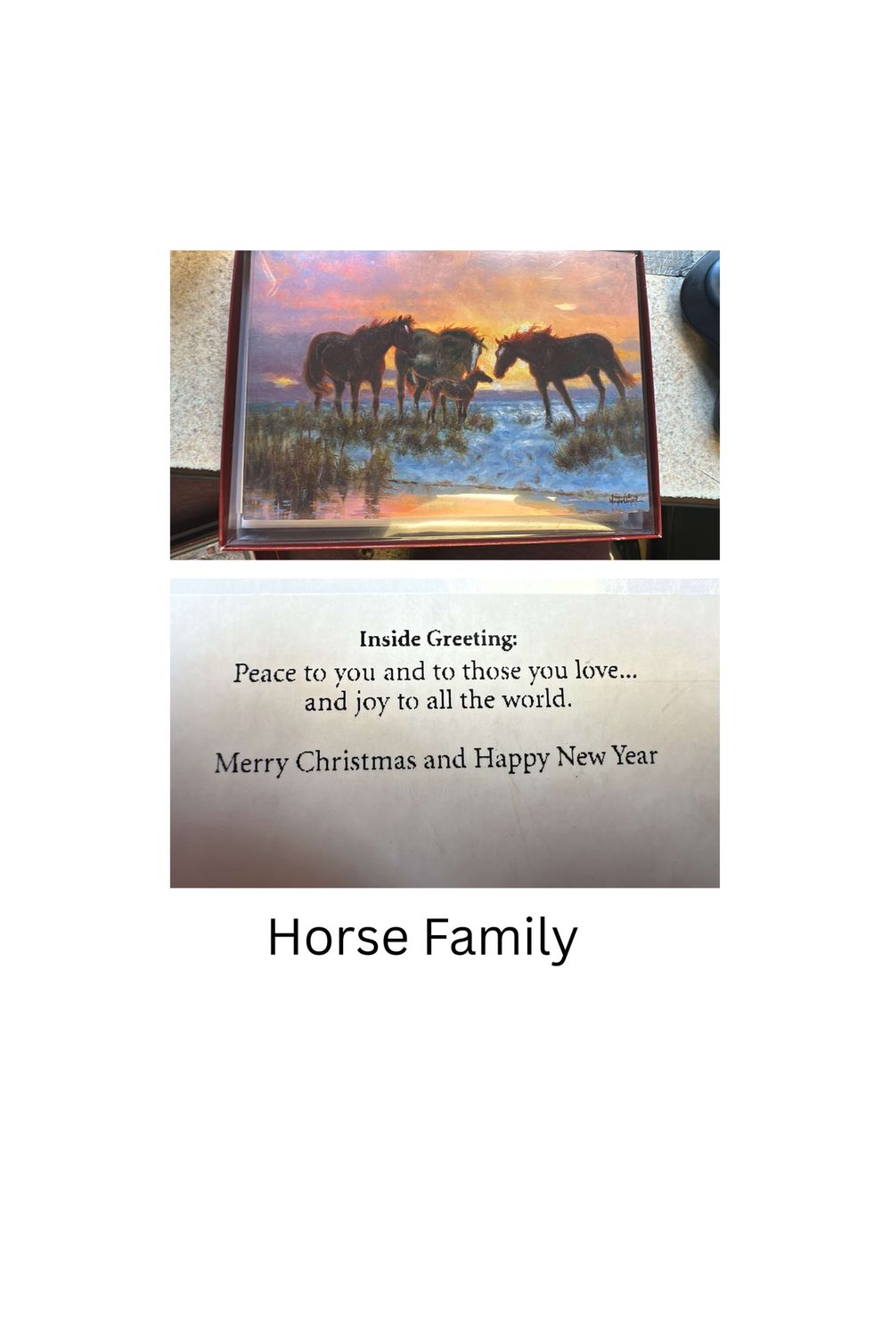 Christmas Cards 10 PK, Scenery: Horse Family