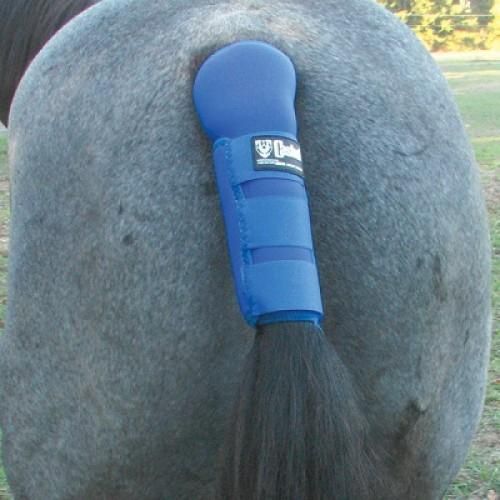 Tail Shield, Color: Royal Blue