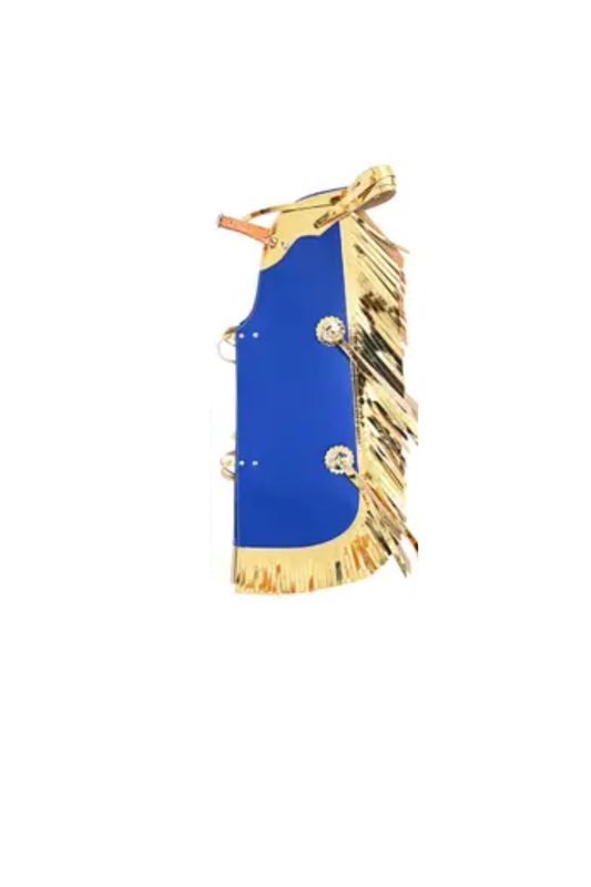 Bull Riding Vest Junior Youth Bull Pro Rodeo Leather Chaps