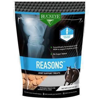 Nutrition Reasons Horse Treats
