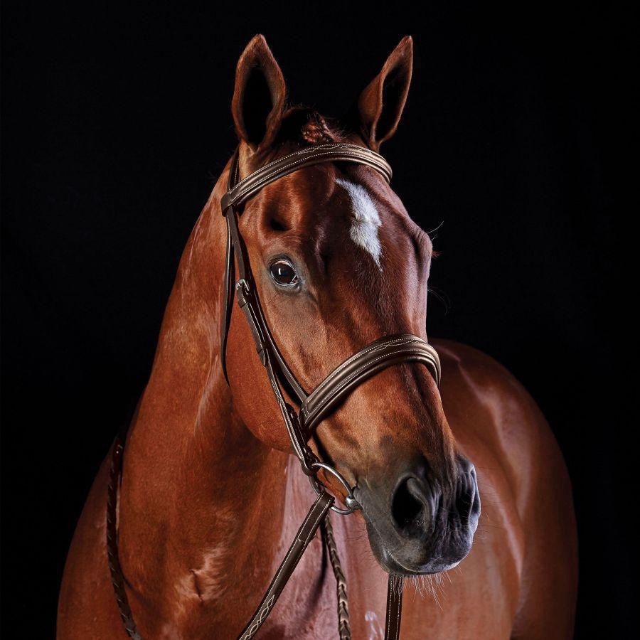 Comfort Crown Fancy Stitched Raised Cavesson Bridle, Breed: Full Size, Color: Black