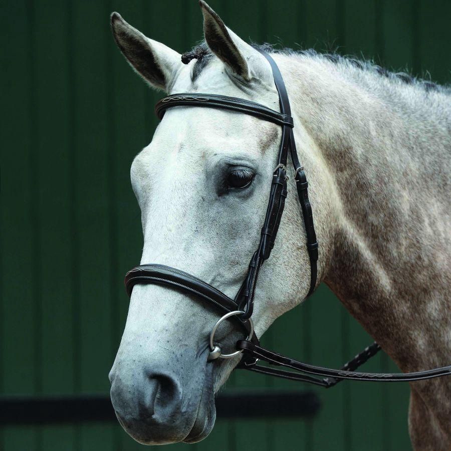 Essential Padded Raised Fancy Stitched Bridle, Breed: Full, Color: Brown, Style/Design: Cavesson