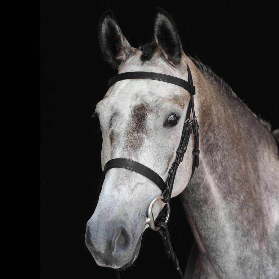 COLLEGIATE HUNT CAVESSON BRIDLE IV, Breed: Full, Color: Black