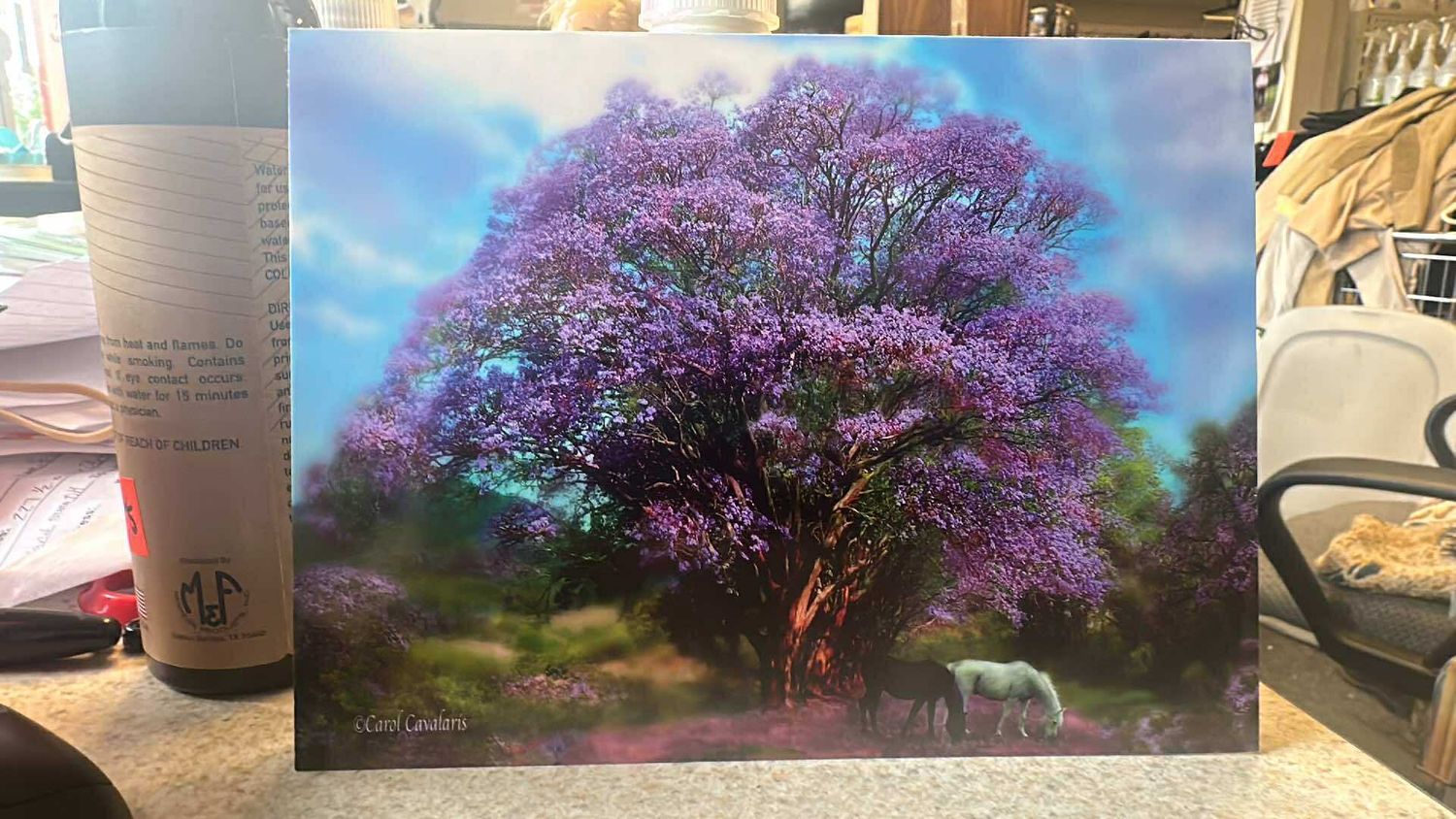 Blank Cards, Scenery: Lavender