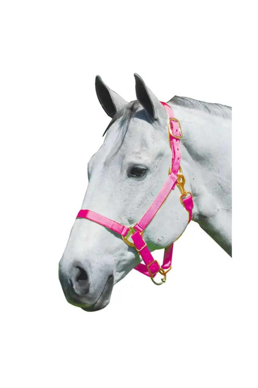 1" Nylon Adjustable Horse Halter, Color: Neon Pink, Weight: 800-1100 lbs