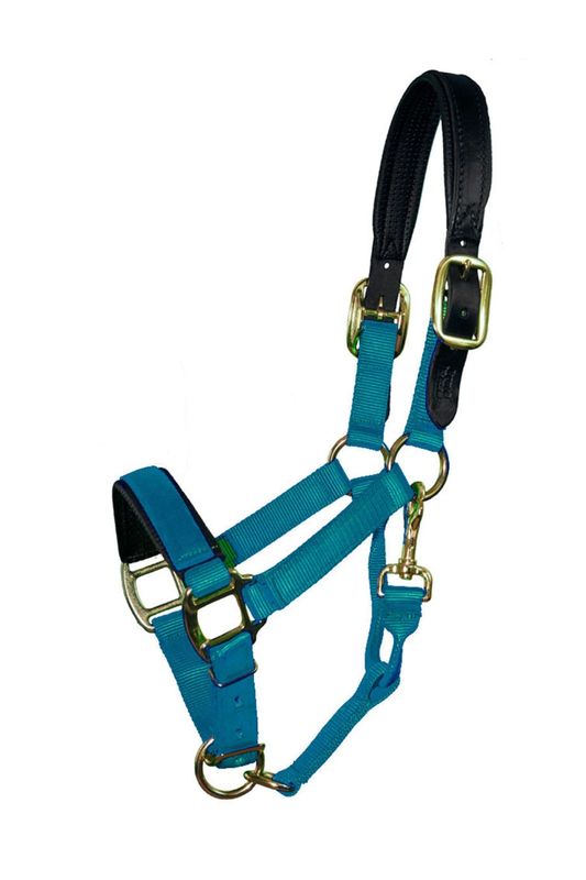 Premium Nylon Breakaway Halter with Padded Crown/Nose