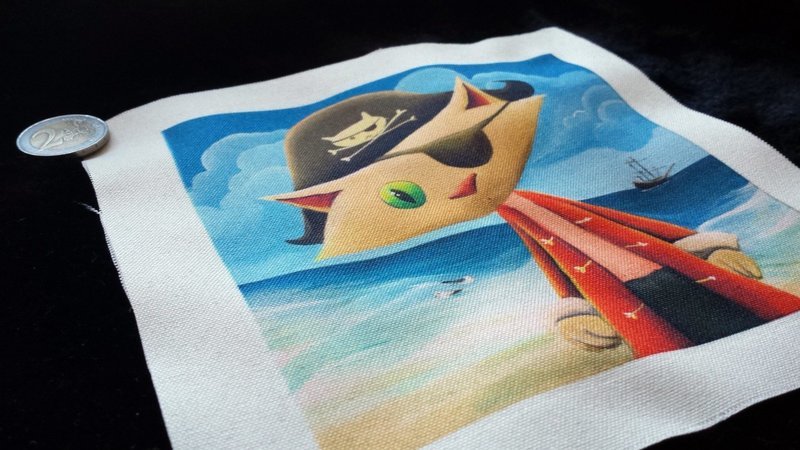 Illustrated Fabric : Pirate !