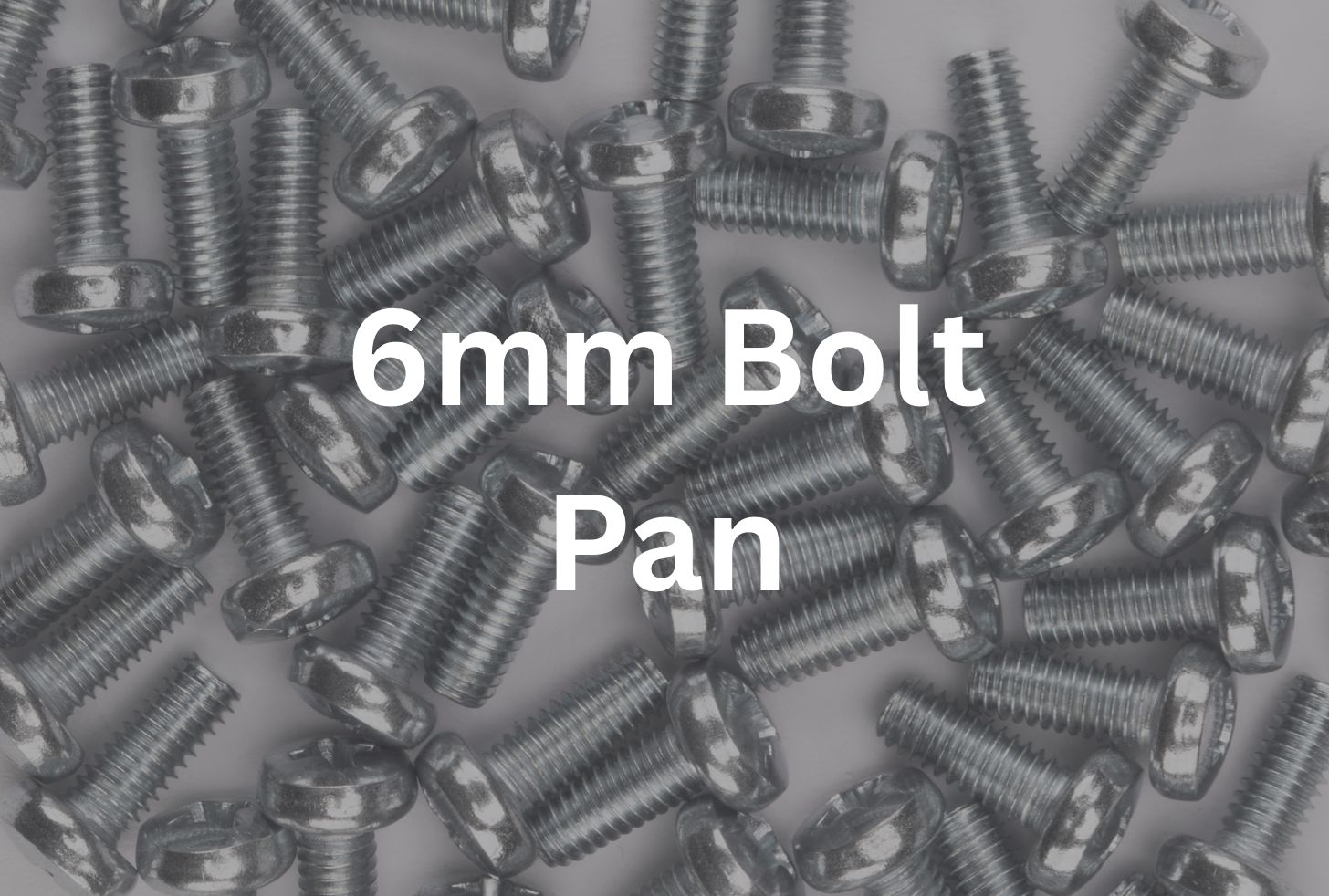 6mm x 50 mm Pan Bolt