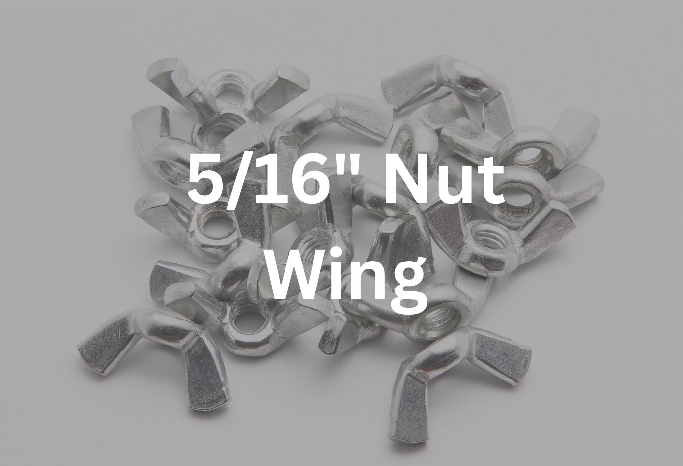 5/16&quot; Wing Nut