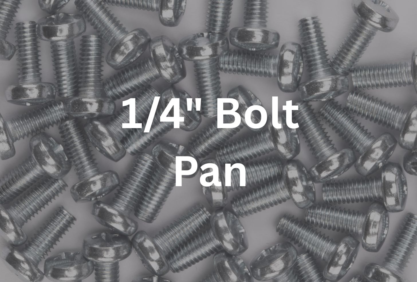 1/4&quot; x 1&quot; Pan Bolt