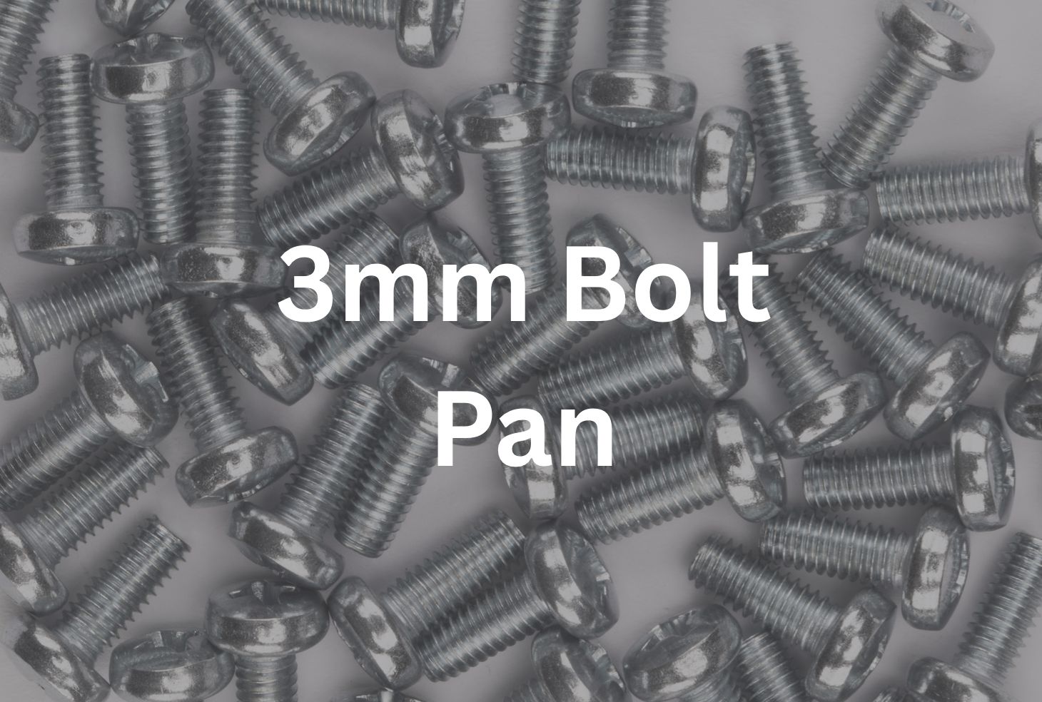 3mm x 8mm Pan Bolt