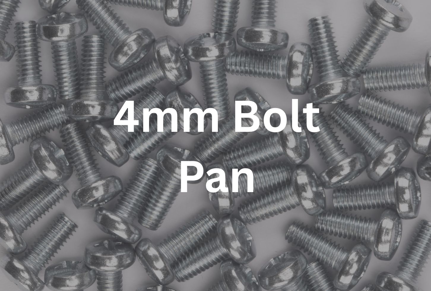 4mm x 40mm Pan Bolt