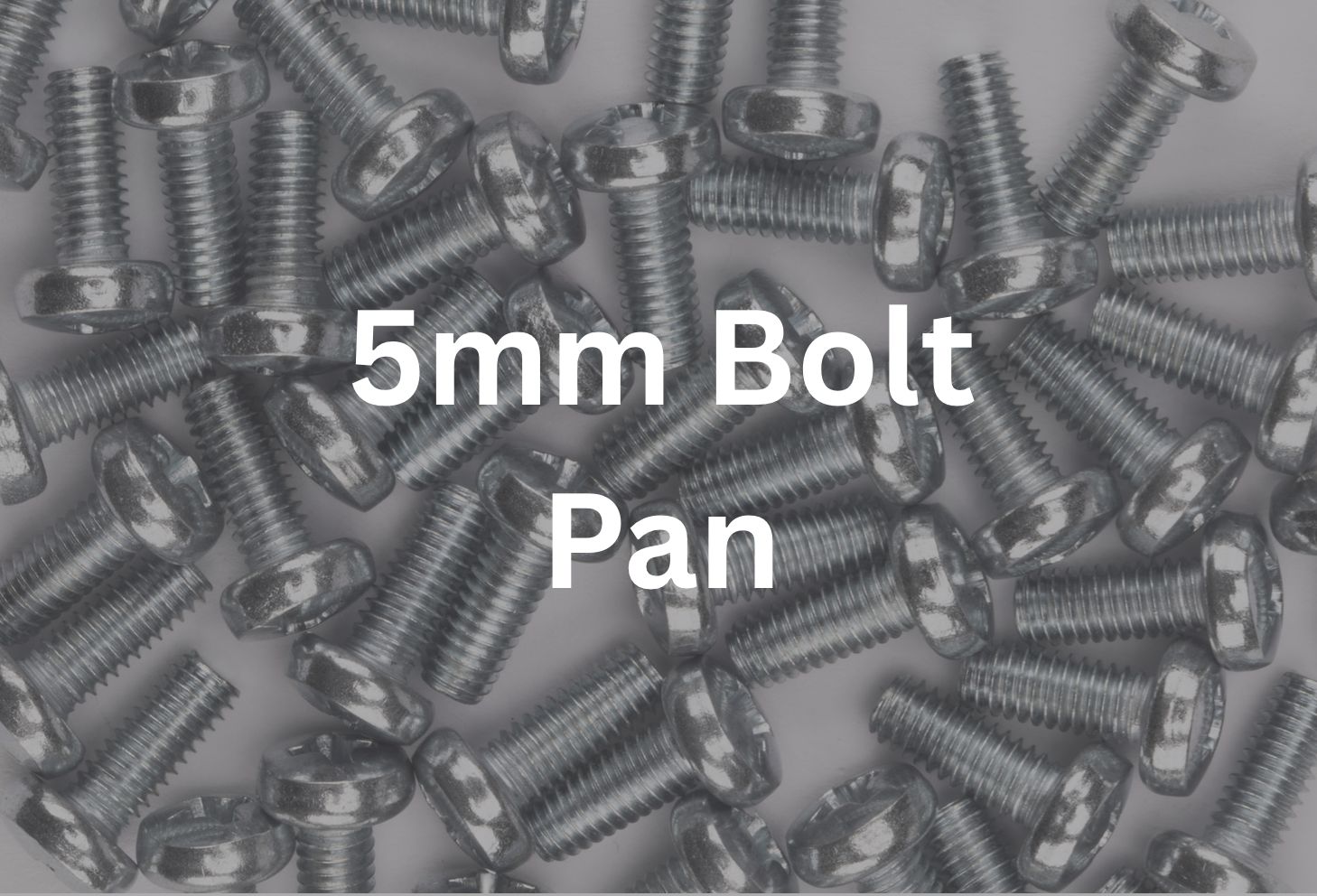 5mm x 30 mm Pan Bolt