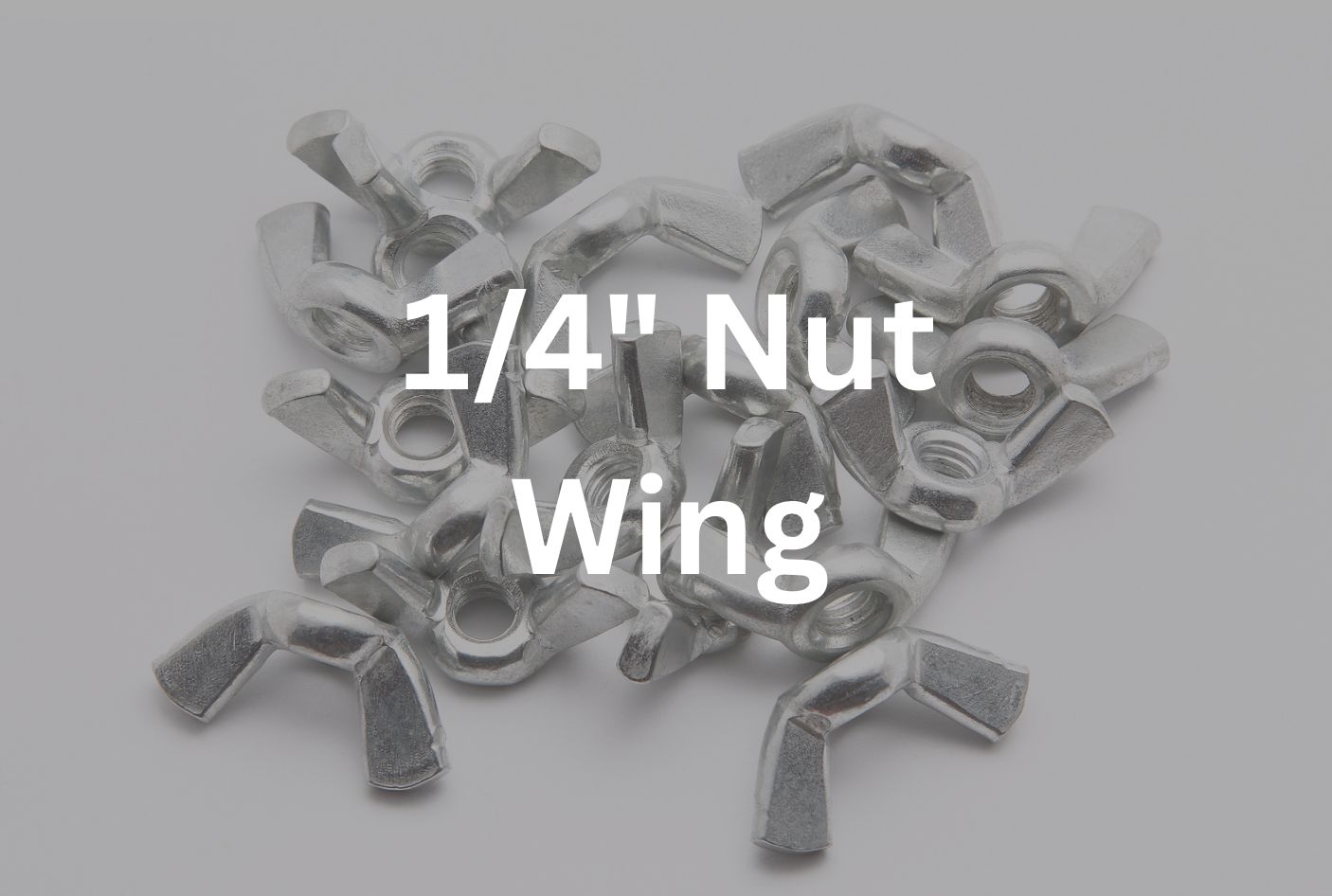 1/4&quot; Wing Nut