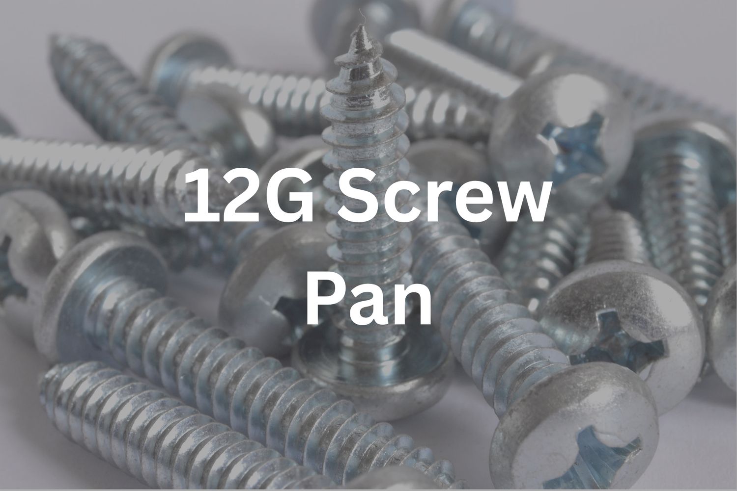 12G x 1&quot; Pan Screw
