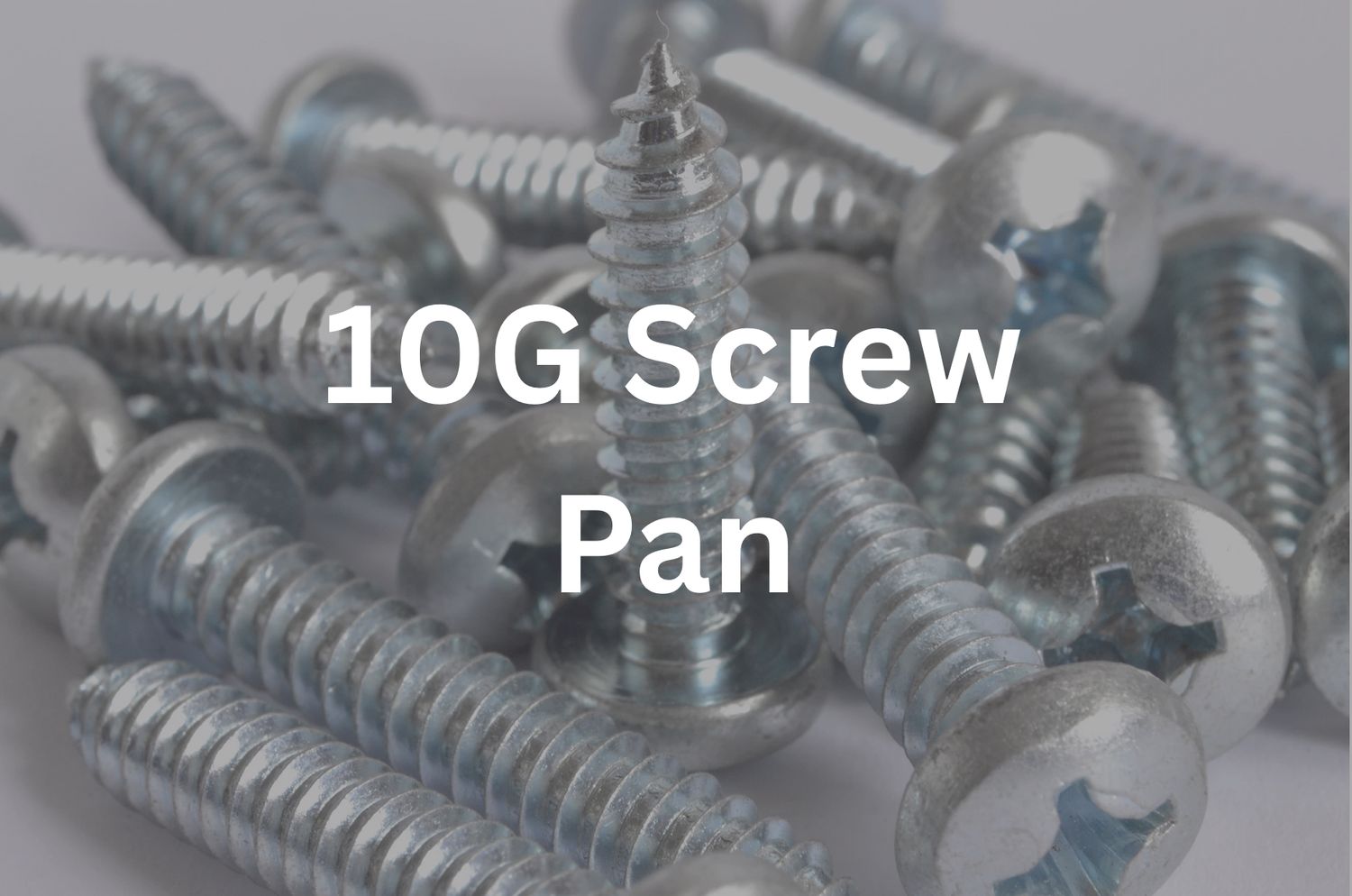 10G x 1 1/4&quot; Pan Screw