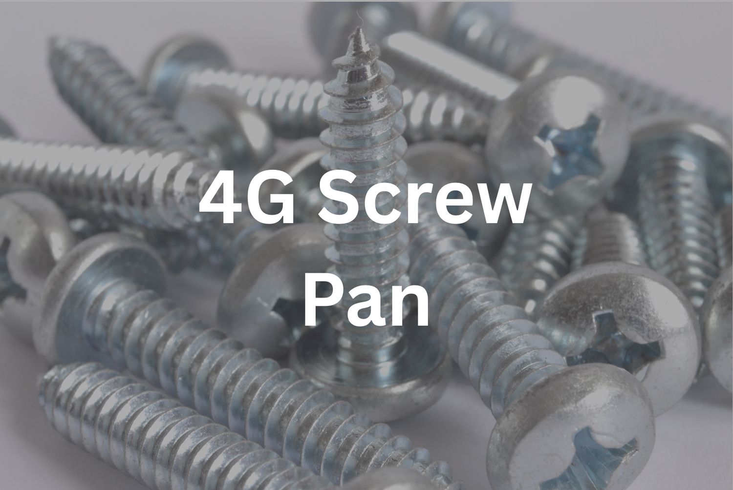 4G x 1/4&quot; Pan Screw