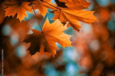 Fall Scented