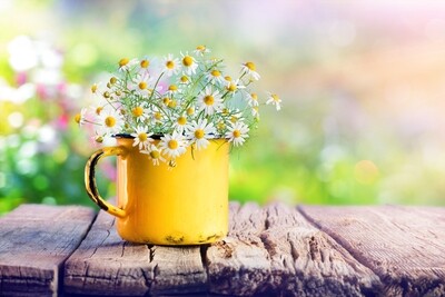 Spring Time Scented