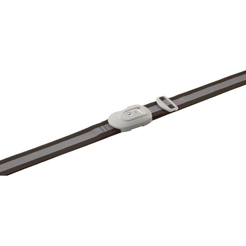 TSA STRAP LOCK (343)