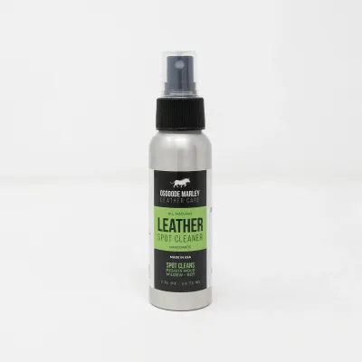 LEACARE 3 OZ. SPOT CLEANER (LEACARE-B2)