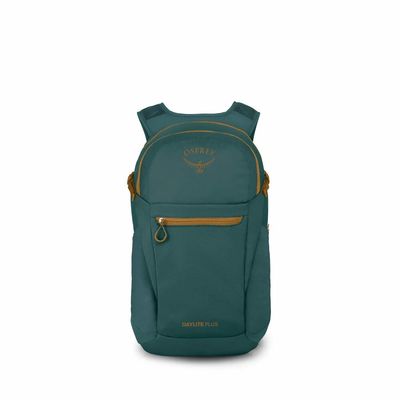 DAYLITE® PLUS 20L BACKPACK TORRENT BLUE (10007227)