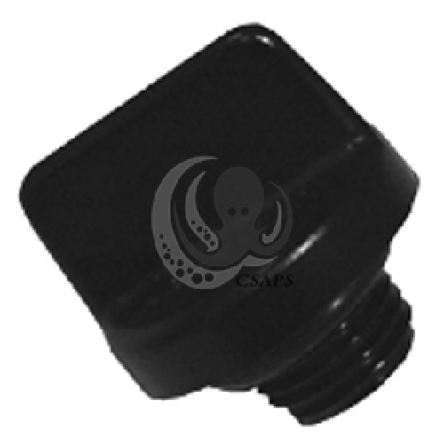 PENTAIR Drain Plug 1/4" with oring(U178-920P)