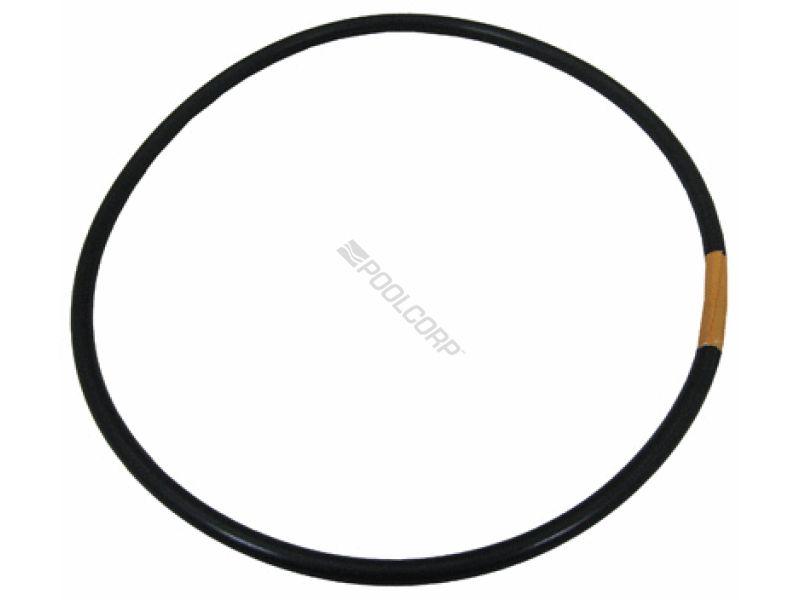 HIGH CAPACITY CHLORINATOR LID ORING (RAI-451-4001) (R172240)