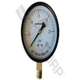 American Granby IPPG302-4B 2 in. 0-30 PSI Plastic Pressure Gauge 0.25 in. Mip Back