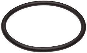 O-Ring Pump Union 2" (805-0229)