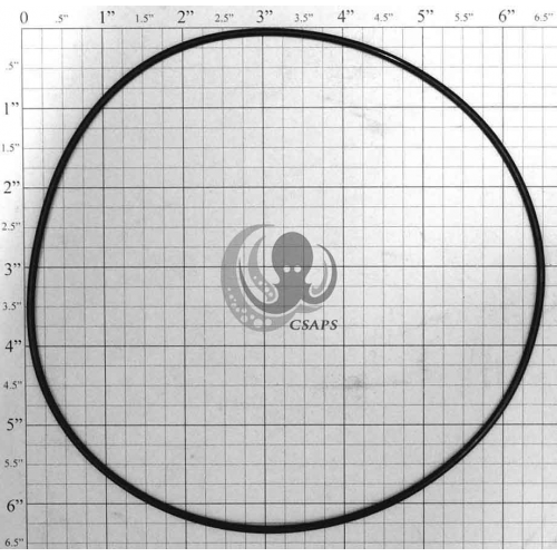 O-Ring 6-1/2" (92200301)