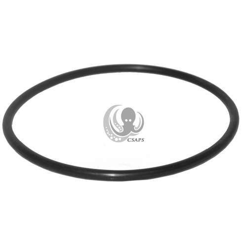 JACUZZI FILTER HEAD GASKET (PTS-47035241R)