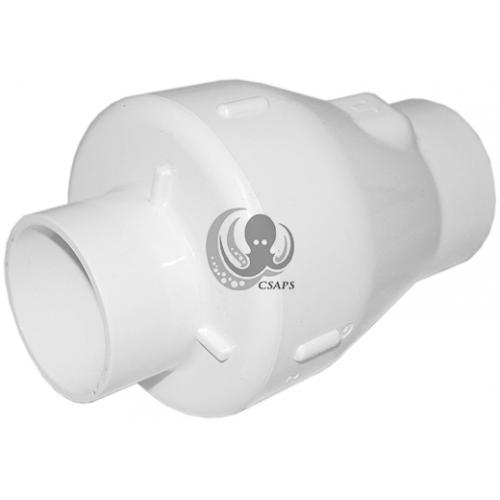 Check Valve 2lb. 2" SP x 2" S (0822-20M)